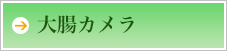大腸カメラ