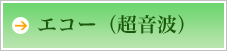 エコー(超音波)